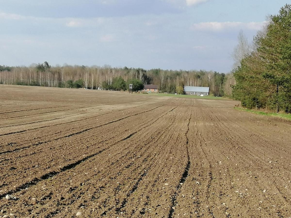 Agroturystyka Pod Dobrymi Skrzydlami Wiski المظهر الخارجي الصورة